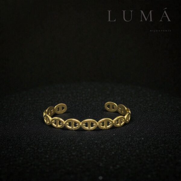 Photoroom_20260201_210356 Bracelet éclat