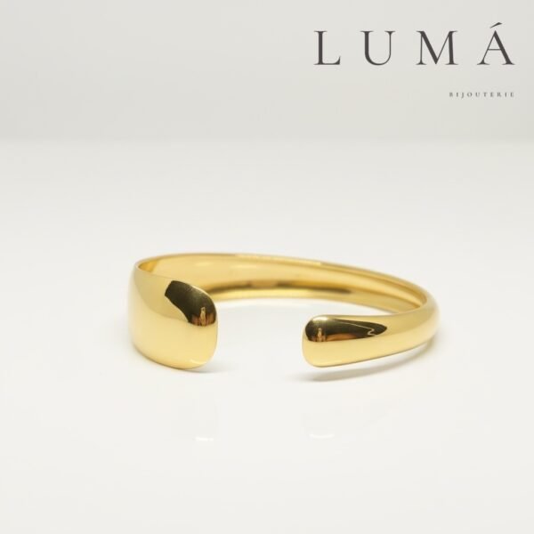 Photoroom_20260201_210527 Bracelet Sculpta